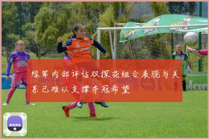 绿军内部评估双探花组合表现与关系已难以支撑夺冠希望
