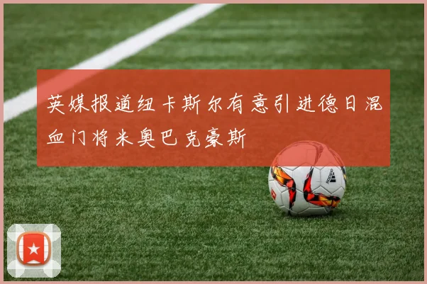 英媒报道纽卡斯尔有意引进德日混血门将米奥巴克豪斯