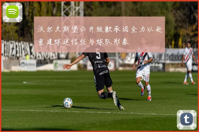 沃尔夫斯堡公开致歉承诺全力以赴重建球迷信任与球队形象